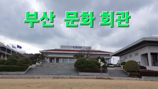 부산문화회관 예매안내 영상