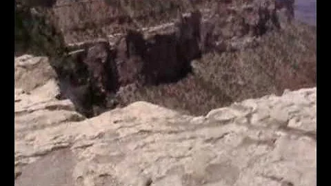 Bizarre Suicide Grand Canyon July 13, 2009 Like Th...