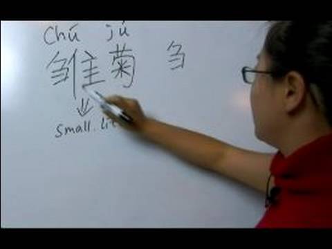 How to Write Flower Chinese Symbols : How to Write...