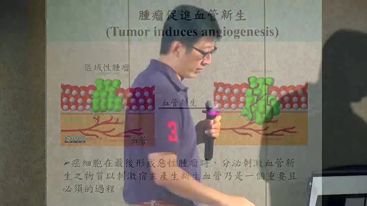 探索16-6讲座：血管的生成：多细胞生物体内高速公路的构筑过程 / 李心予教授 - 天天要闻