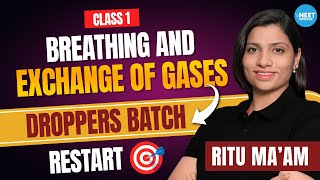 NEET Dropper Batch 2025 | Demo Class | Breathing and Exchange of Gases | Ritu Rattewal | NEETwithus