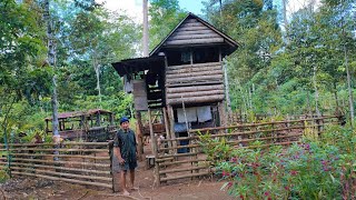 72 tahun hidup sendirian tinggal di pondok tengah hutan