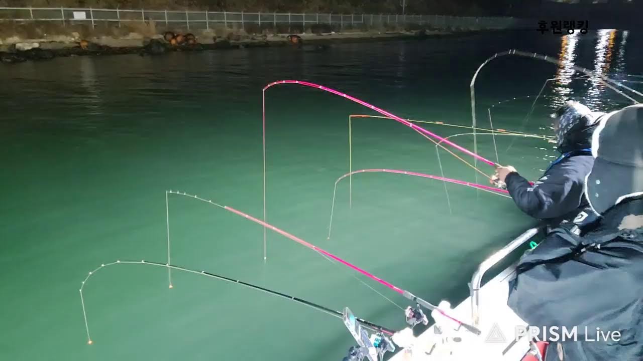 진해호래기선상.퍽퍽하다는데#야구#낚시#부산#시골#광기남