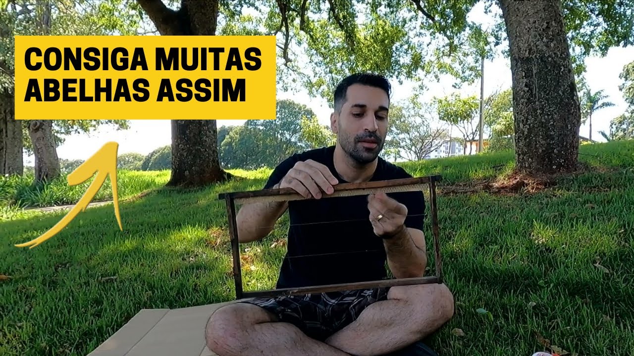 Como fazer a MELHOR caixa isca para pegar ENXAMES | Apislogia