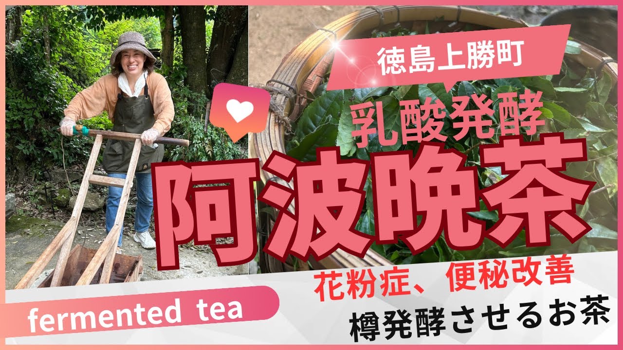 腸活に効く！】徳島の阿波晩茶の作り方とその驚きの効能 - YouTube
