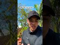 Answering your questions Pt.1 🙃