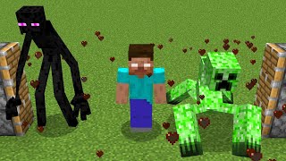 mutant enderman + herobrine + creeper = ???