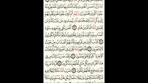 سورة الزمر الصحيفة رقم 461 بصوت المقرئ فضيلة الشيخ د.أحمد عبد الرحمن الخجا الدمشقي الشافعي 🌸 