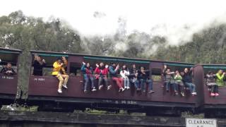Ms Hu, Ruby, Windy, Angeline & Brandon, Mr Mi on Puffing Billy Train