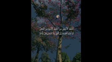 قران كريم بصوت رائع جدا _ #القارئ_طارق_محمد ❤️🎙 #quran