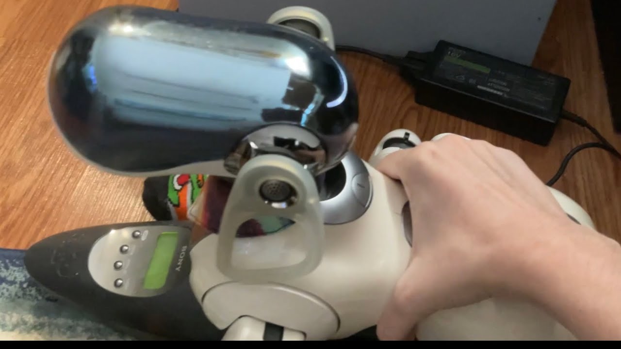 Aibo ERS-7 Battery Died Out Of Nowhere
