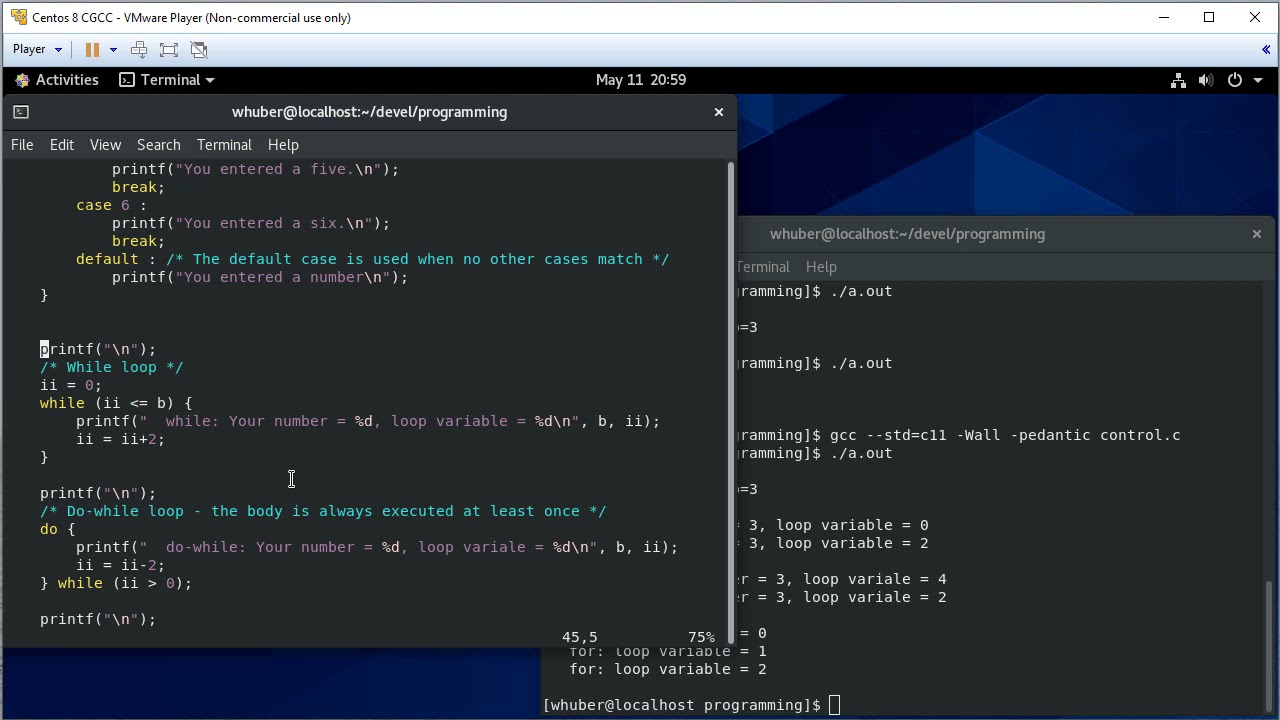 Control Structures for C Programming