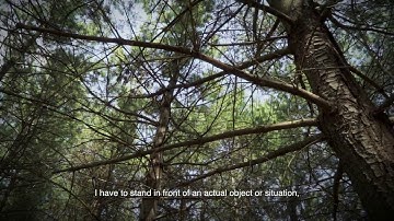 MFA Computer Arts 2017: Seashore - Weiheng Qian