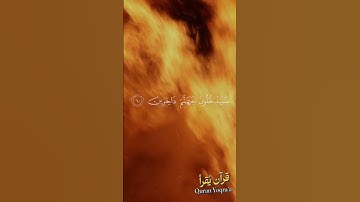 ادعوني أستجب لكم #سورة_غافر #القرآن_الكريم #احمد_النفيس #اكسبلور #راحة_نفسية #لايك #تلاوة_خاشعة