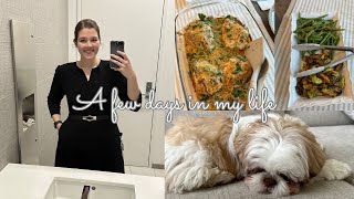 a few days in my life | big4 auditor | 3 yrs post op gastric bypass | Carolin RNY