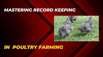 Mastering Poultry Farm record keeping