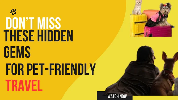 Travel Stress-Free with These Amazing Pet-Friendly Hotels