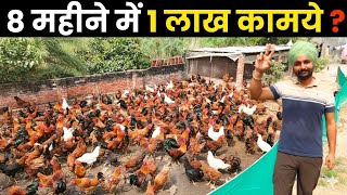 100 दस मरग स कतन कमई Ii Desi Murga Farm Ii Poultry Farming Ii Poultry Farm