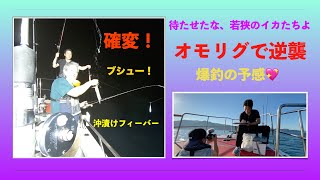 【釣りシリーズ５】オモリグでリベンジだ！若狭のケンサキイカが確変フィーバー状態になった！