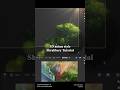Makoto Shinkai Style Shrubbery Tutorial in Blender