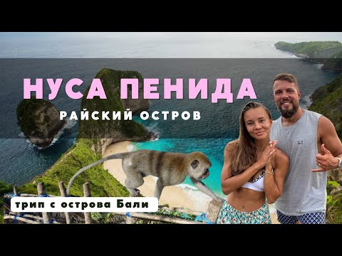 видео: НУСА ПЕНИДА 2024. Красивейшее место в мире рядом с БАЛИ! Дважды упали с мопеда!