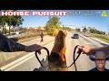 Police Horse Chases After Drug Dealer