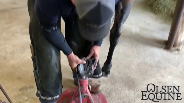 FIRE!!! Extreme Thrush problems?? Deep Central Sul...