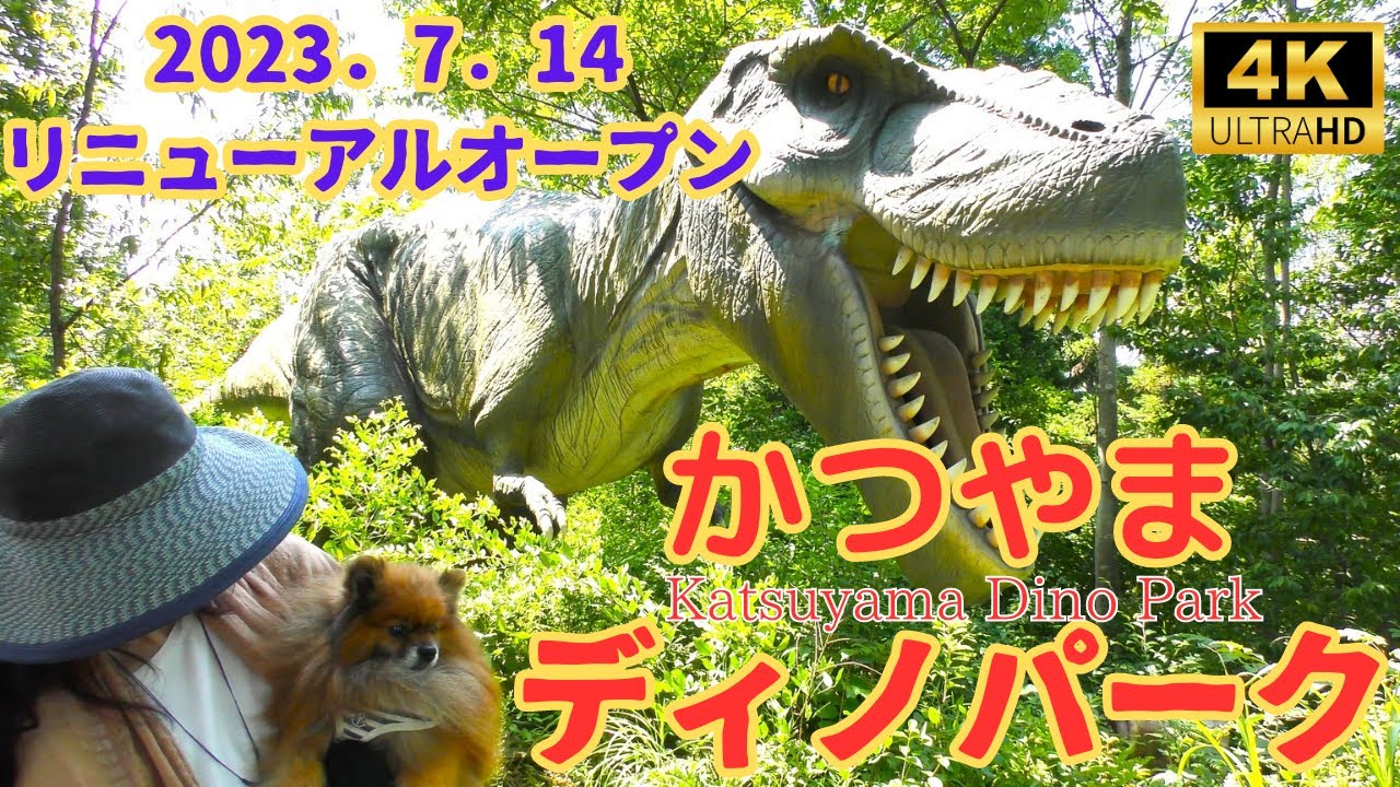【福井】【かつやまディノパーク】【恐竜博物館】2023．7．14　リニューアルオープン🦕[Katsuyama Dino Park] 2023.7.14 Reopening🦖