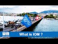 What is iom  international organization of migration  english  publicity by world migration wm