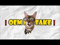 What is an OEM Number?
