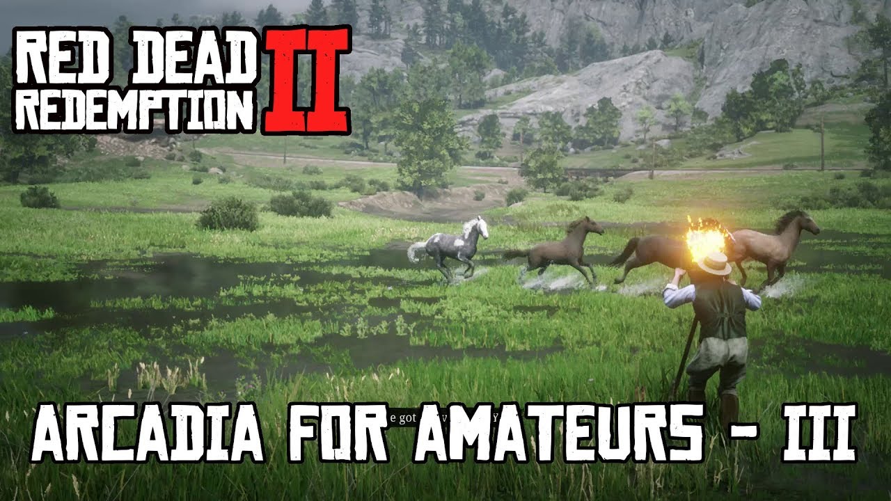 Red Dead Redemption 2 - Arcadia for Amateurs 3 - YouTube