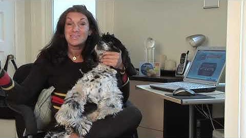 How to Advertise on Pizza Boxes