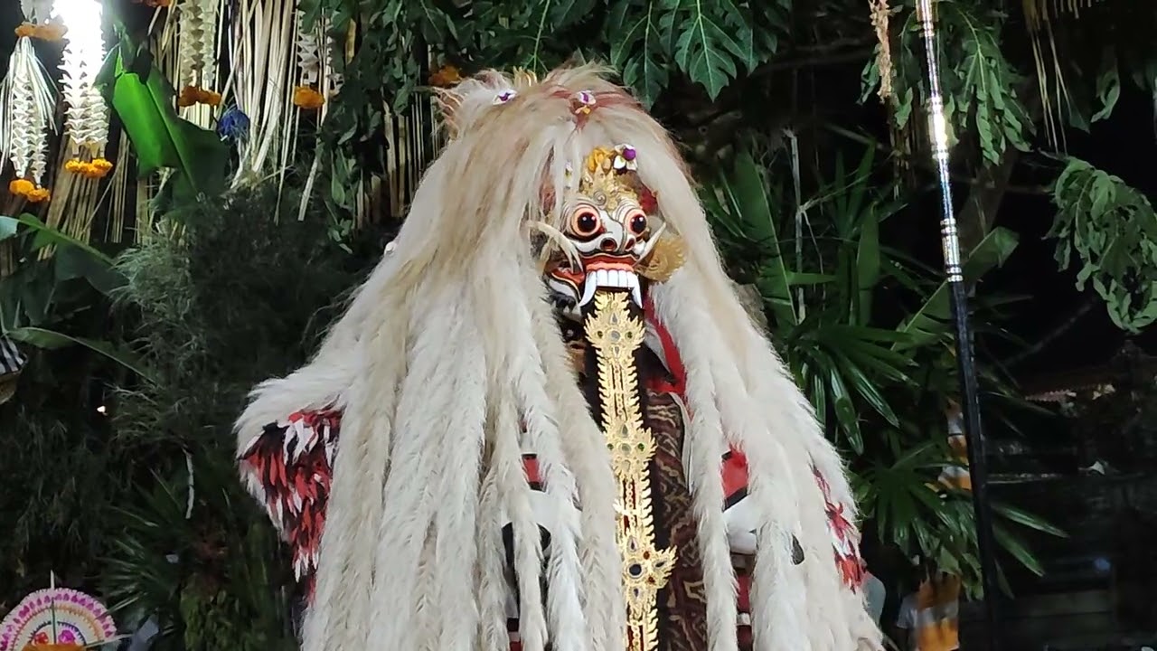 Cikho Cis mesolah Panca Durga ring pura Gunung Sari jagat Uma Anyar Pejeng 🙏🔥