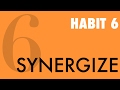 Habit 6 synergize