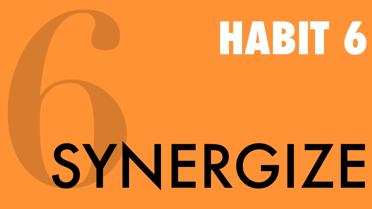 Image result for habit 6 synergize