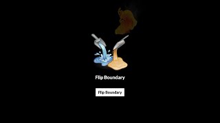 Flip Boundary