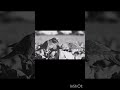 🦜The Cauliflower-Loving Parrot"🦜🥦 #shorts #ytshorts #BestVibes