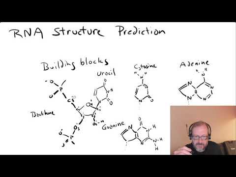 Video: Predviđanje RNA 3D Strukture Vođeno Neovisno Sklapanje Homolognih Nizova