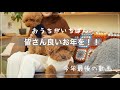 【感謝】2025 たくさんのありがとう!