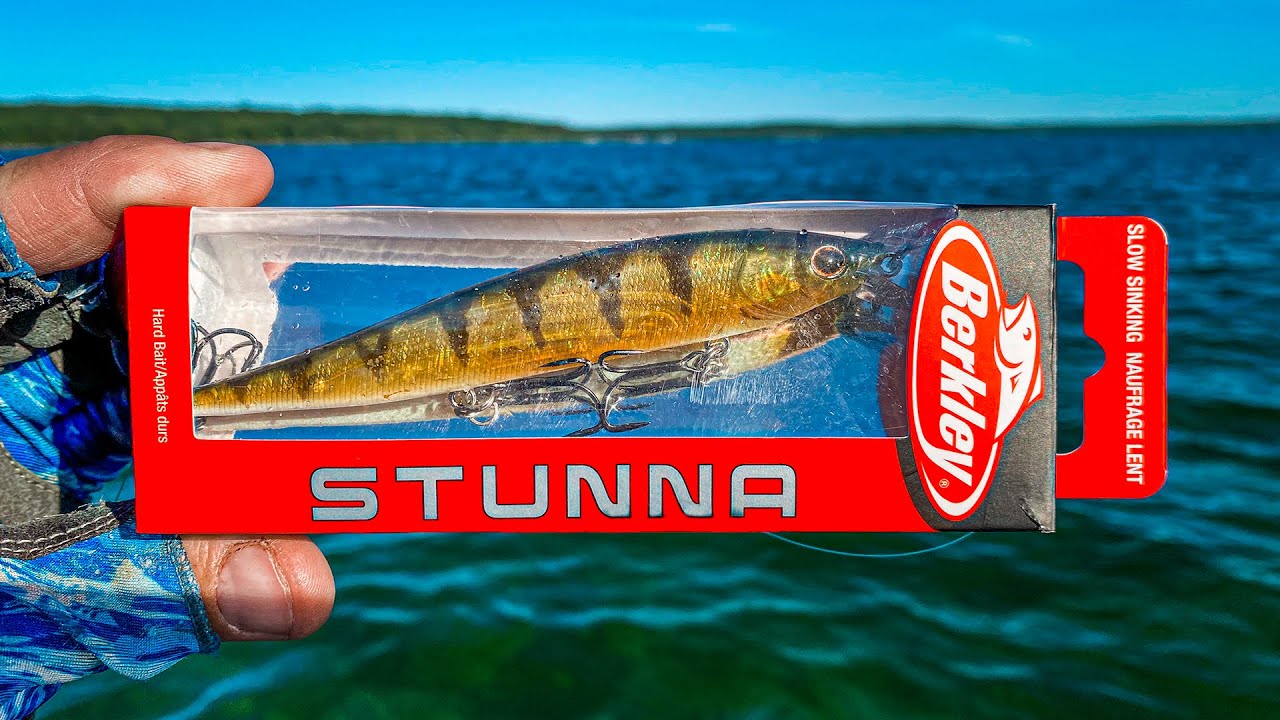 Berkley Stunna Jerkbait