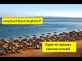 ЕГИПЕТ 2021. Long Beach Resort 4* - Хургада. ЛУЧШИЙ ЭКОНОМ ОТЕЛЬ. РАЙ ДЛЯ КАЙТСЕРФИНГА.