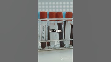 DMLT Syllabus 2024-25 #dmlt #paramedical