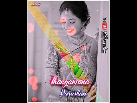 Thangamana purushan serial song 