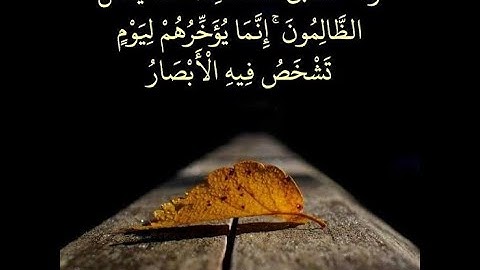 ولا تحسبن الله غافلا عما يعمل الظالمون ما تيسر من سورة ابراهيم بصوت القارئ محمد خالد