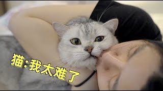 主人生病猫咪是什么反应?看完我决定还是养仓鼠吧!猫:我太难了