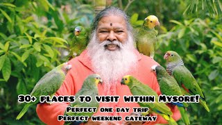 30+ Places to visit within and nearby Mysore | one day trip in Mysore | Perfect weekend gateway