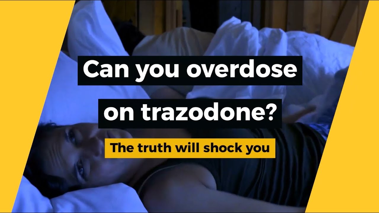 Can Dogs Overdose On Trazodone?