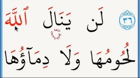 تعلم القراءة والكتابة/ املاء /آية من كتاب الله من سورة  الحج 37