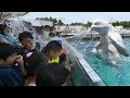 Funny Beluga Whale Troll Baby And Kids in Aquarium| Funny Babies and Pets