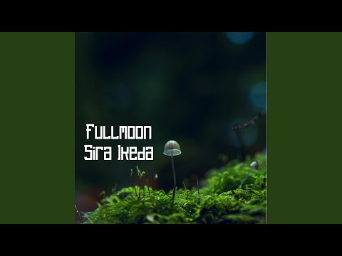 Joga O Bum Bum Tamtam 